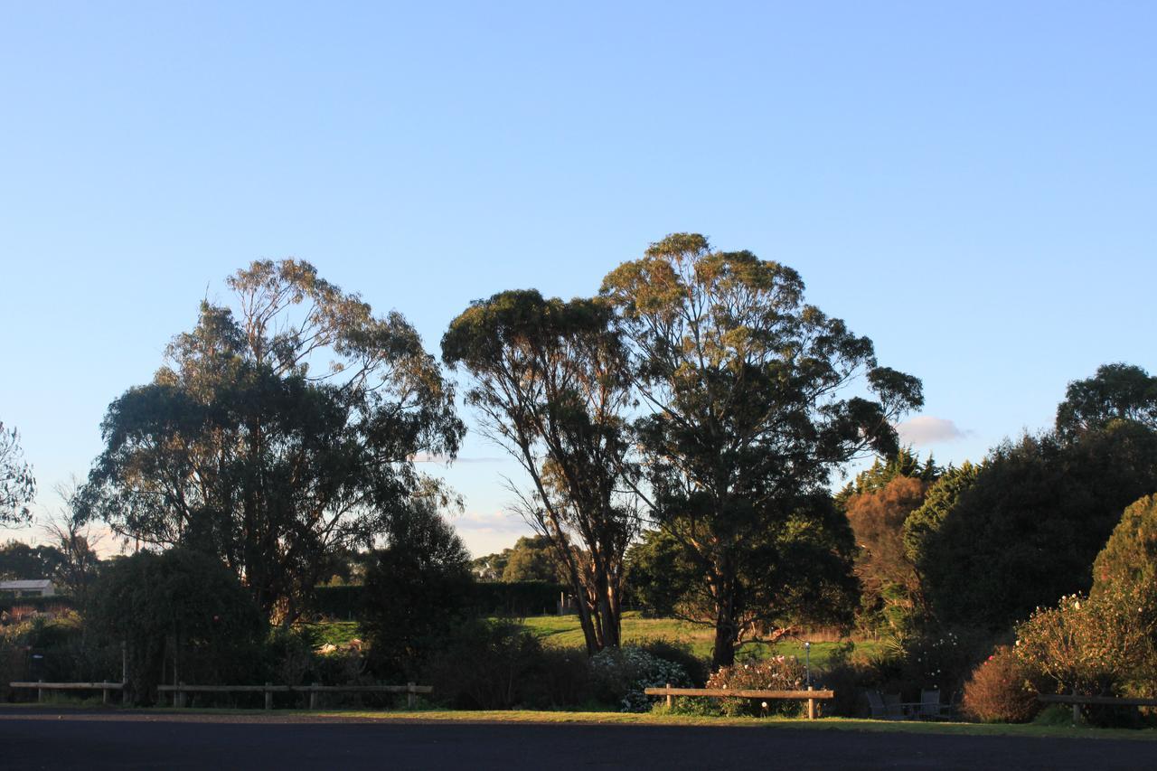 Mt Gambier International Motel Mount Gambier Eksteriør bilde